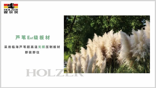 展现强大品牌实力，霍尔茨精彩亮相中国建博会（广州）